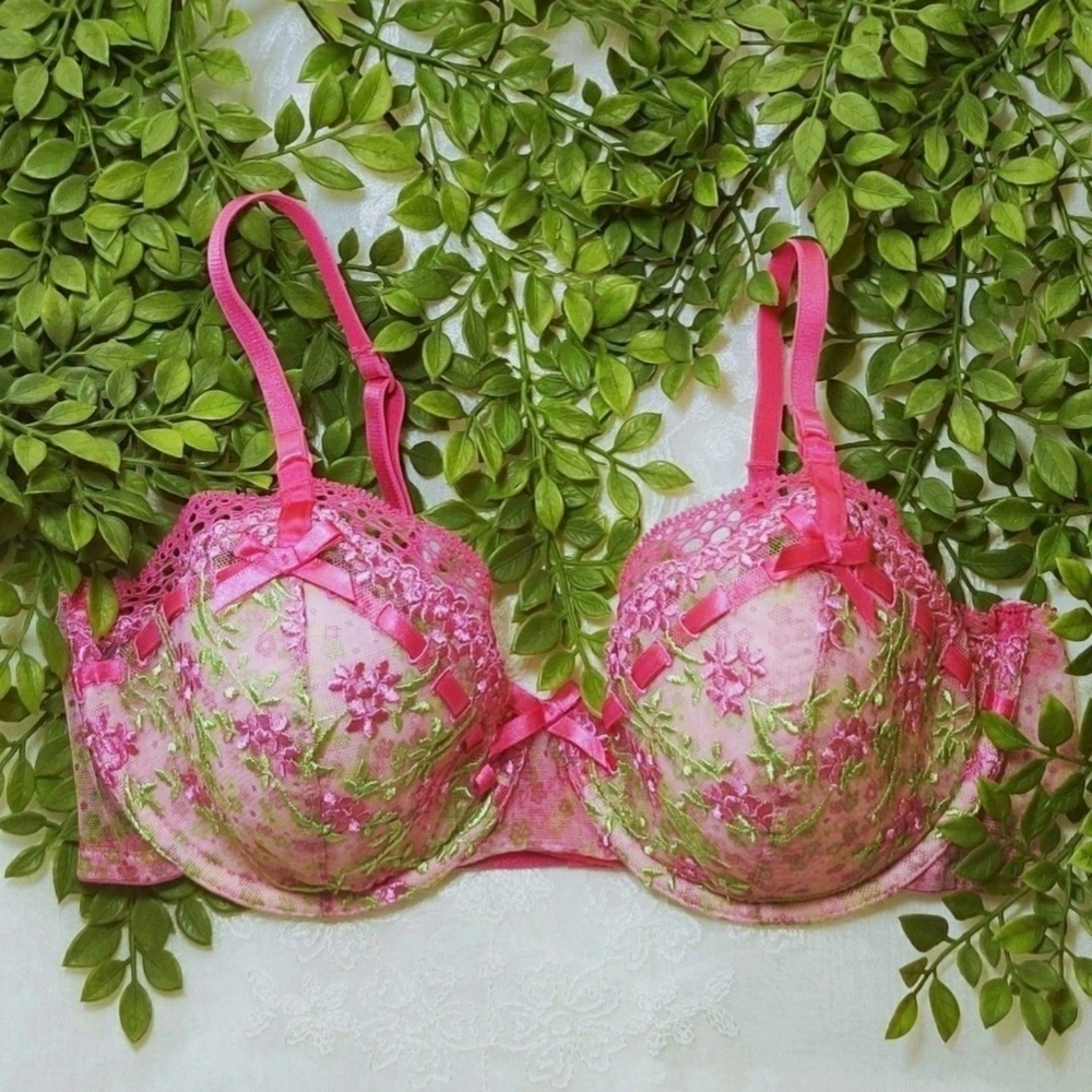 ethereal rare embroidered floral pink & green bra